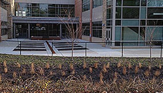 entrance to building with plants