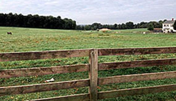 farm with fence