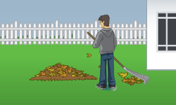 Practice Proper Yard Care